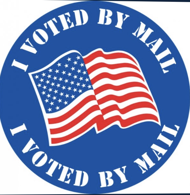 Read more about the article Mail ballot Magaziner