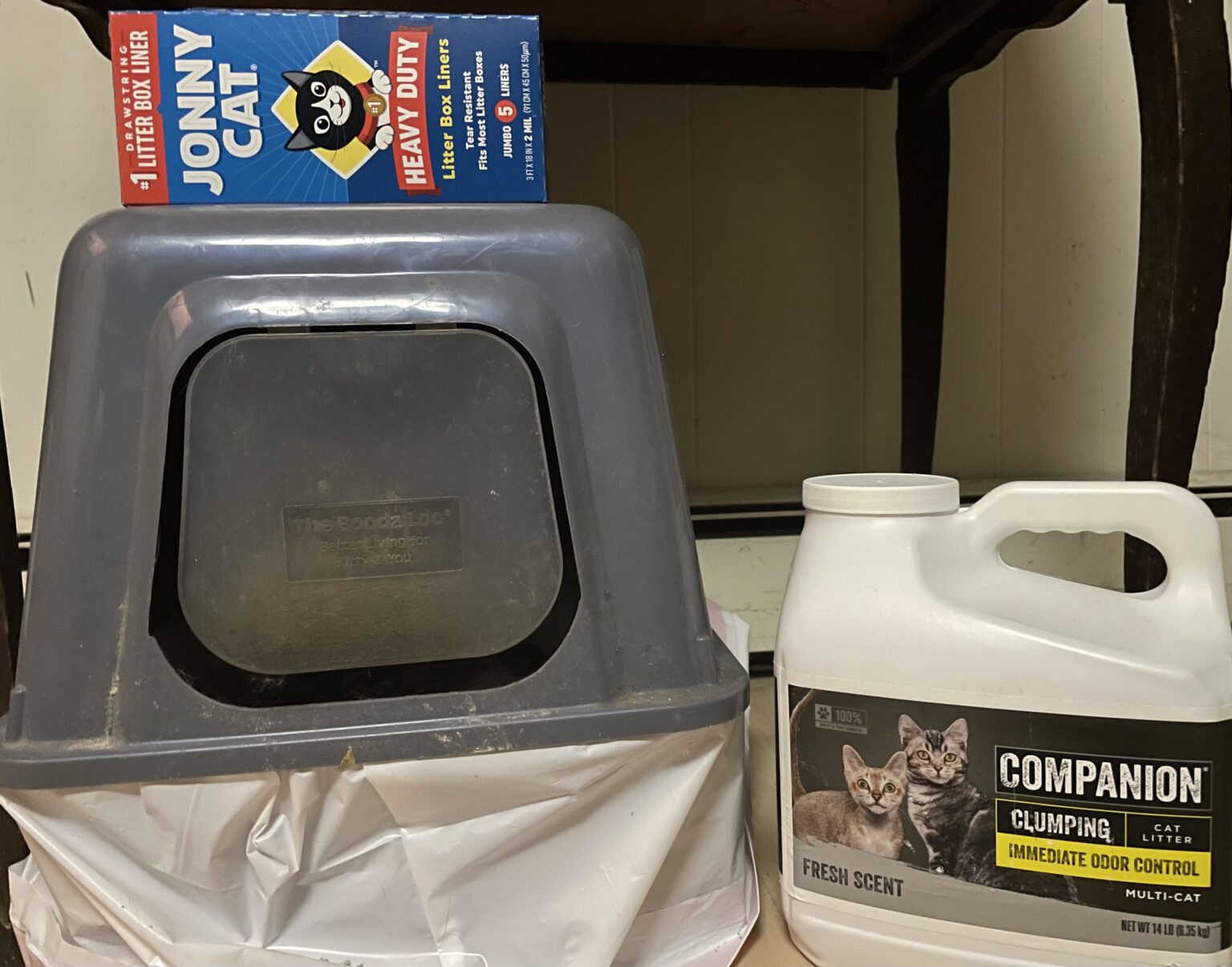 School provides litterbox for students who identify as cats? John