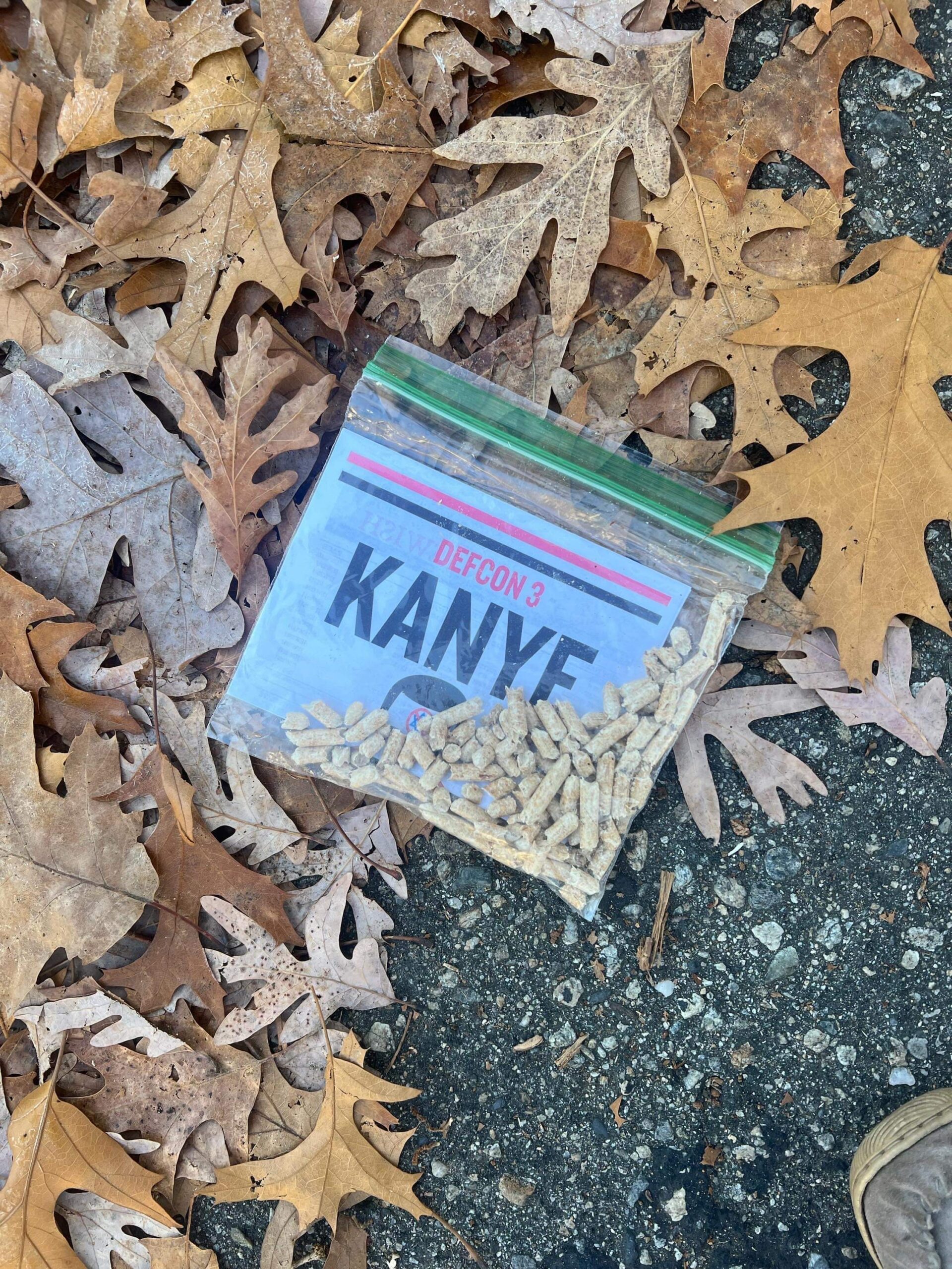 Read more about the article Kanye antisemitism hits Warwick