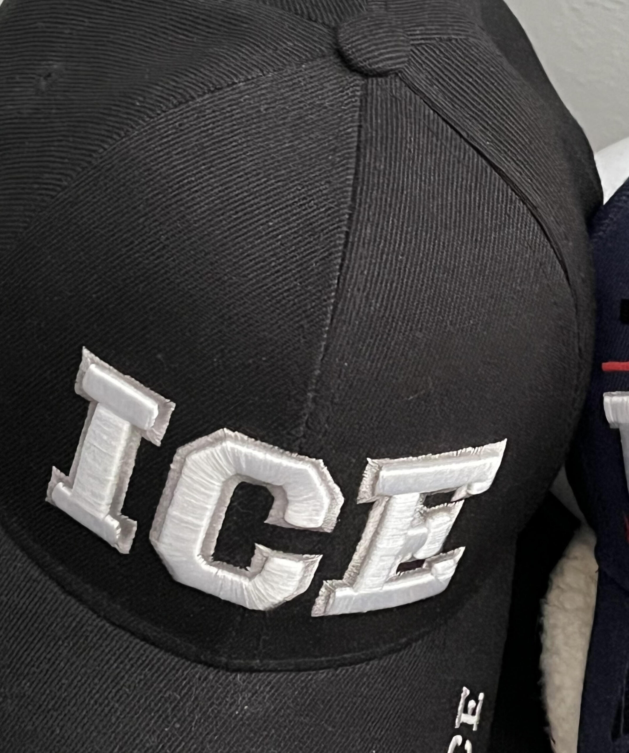 Read more about the article Video: ICE strikes again in Providence