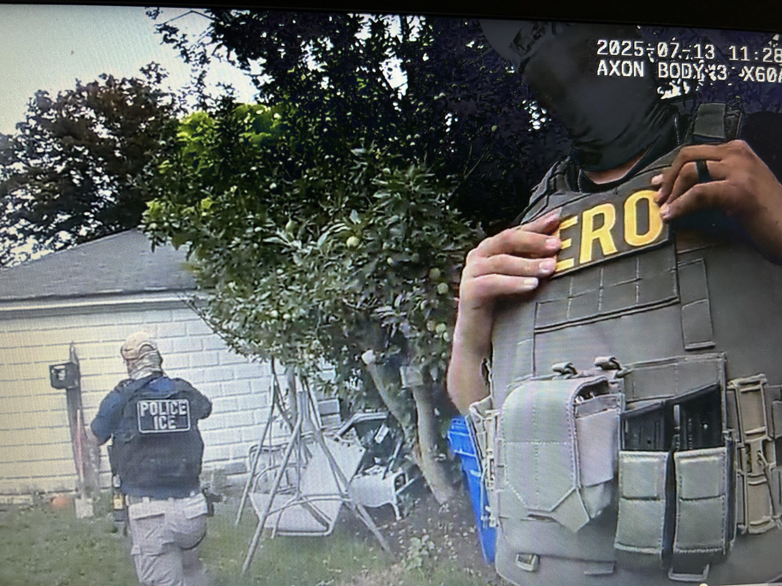 Read more about the article Video: ICE nabs MS-13 gang member in Silver lake
