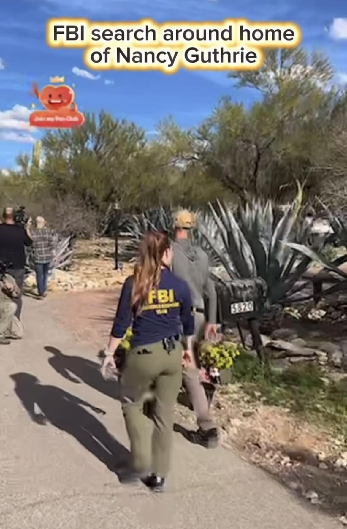 Read more about the article Where is Nancy?